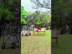 Centrale elettrica a energia solare portatile pieghevole 200W