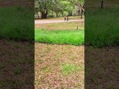 Tecnologia innovativa pannello solare portatile da 100 W per avventure all'aria aperta